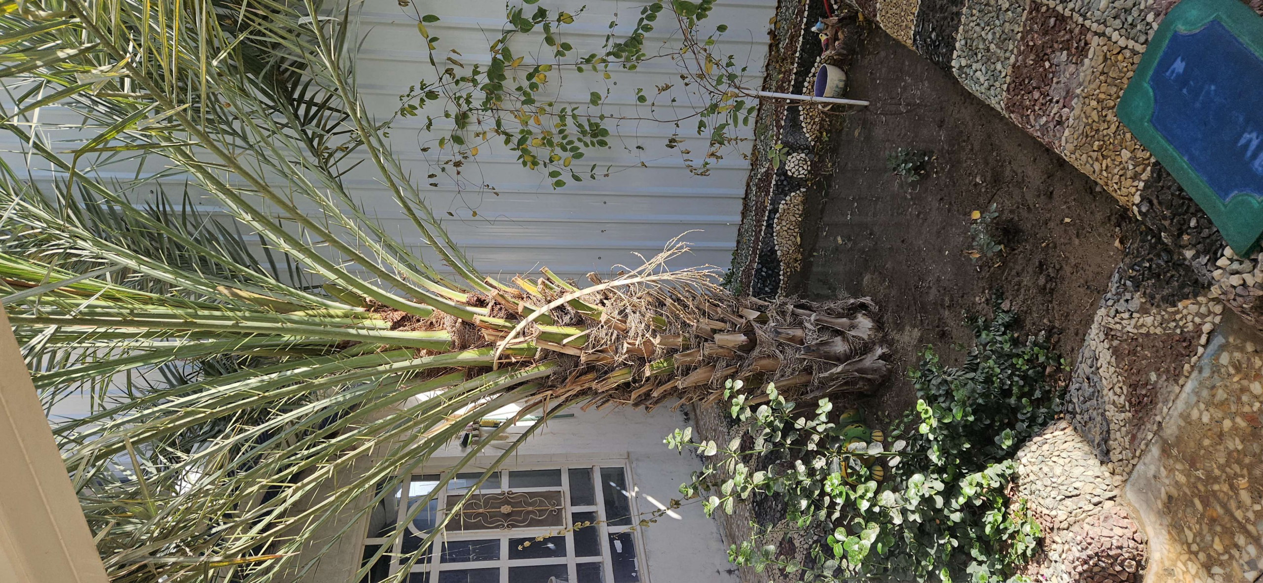 NajafHomeImage-202504051642190145.png